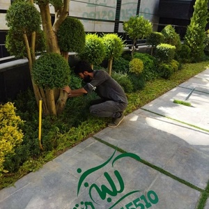 تصویر گالری