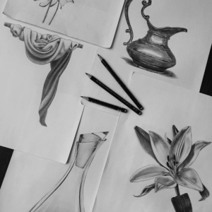 تصویر گالری