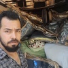 تصویر گالری