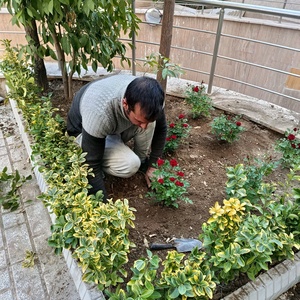 تصویر گالری