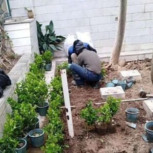 تصویر گالری