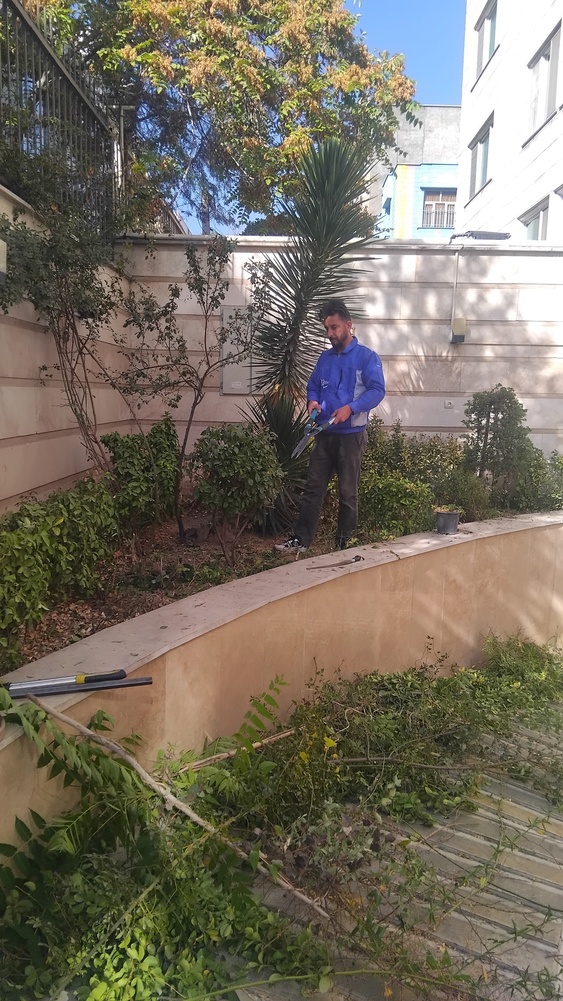 نمونه کار محمد تقی نودهانی 1