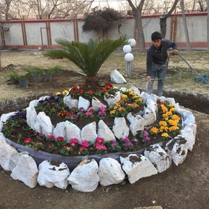 تصویر گالری