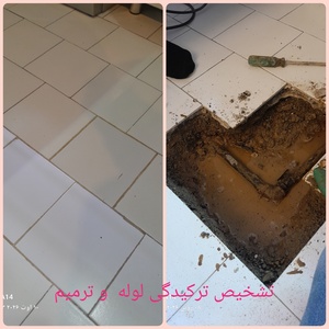تصویر گالری