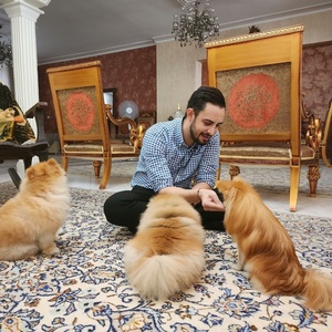 تصویر گالری