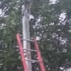 نصب دوربین در باغ