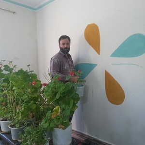 تصویر گالری