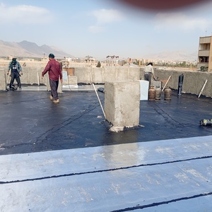 نمونه کار سیدسعید ثابت زاده 2