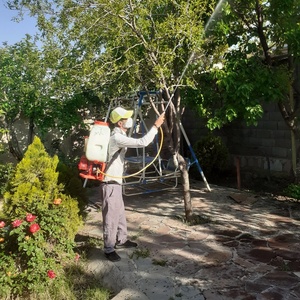 تصویر گالری
