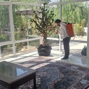 تصویر گالری