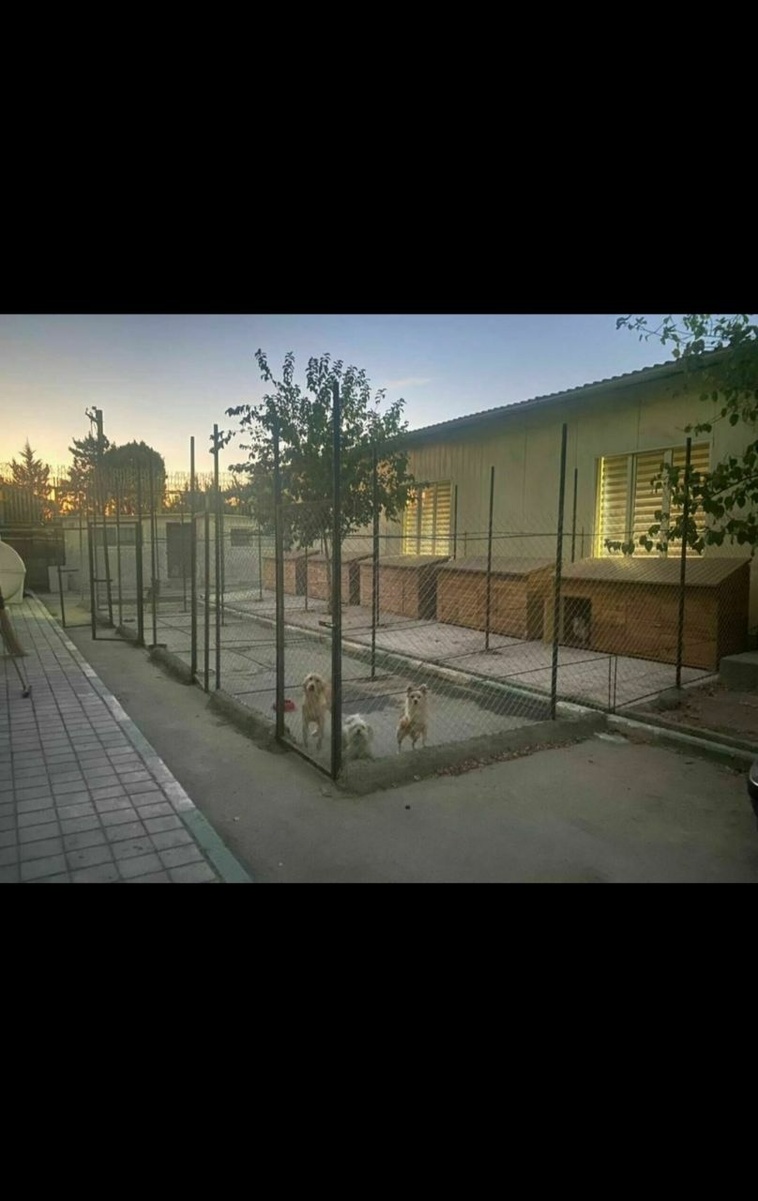 نمونه کار شروین کیخواه امید اسفند آبادی 12