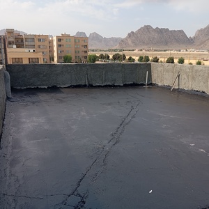 نمونه کار سیدسعید ثابت زاده 3