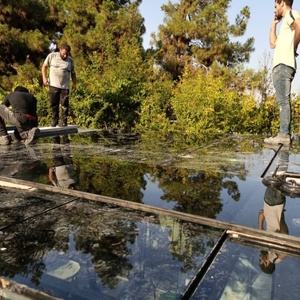 تصویر گالری