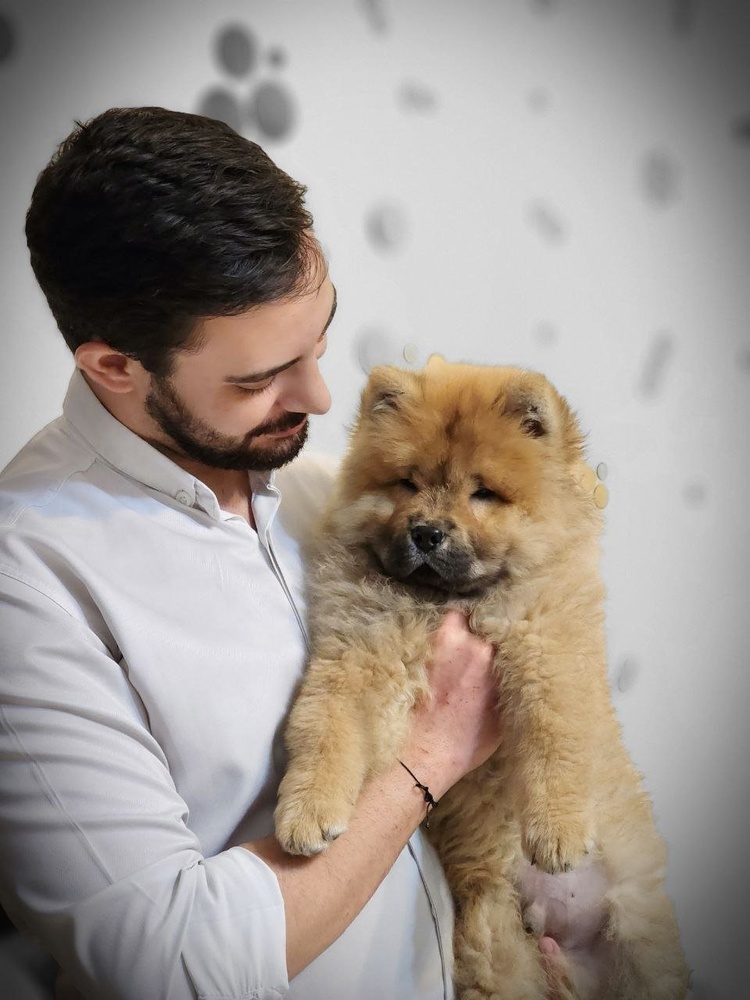 نمونه کار نیما حسین زاده 96