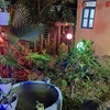 محوطه سازی ویلایی سنتی