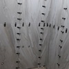 نصب سرامیک 60*120باچسب ضدآب استخری