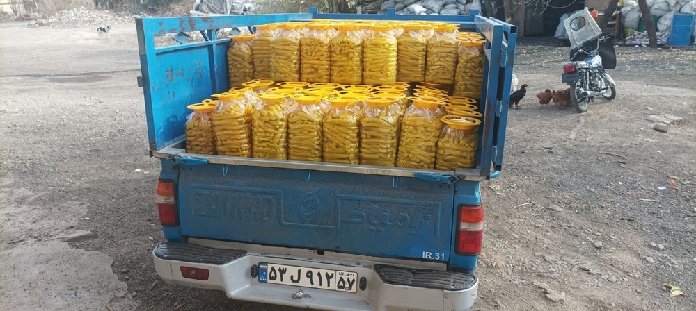 نمونه کار عباس محمدزاده رضایی 12