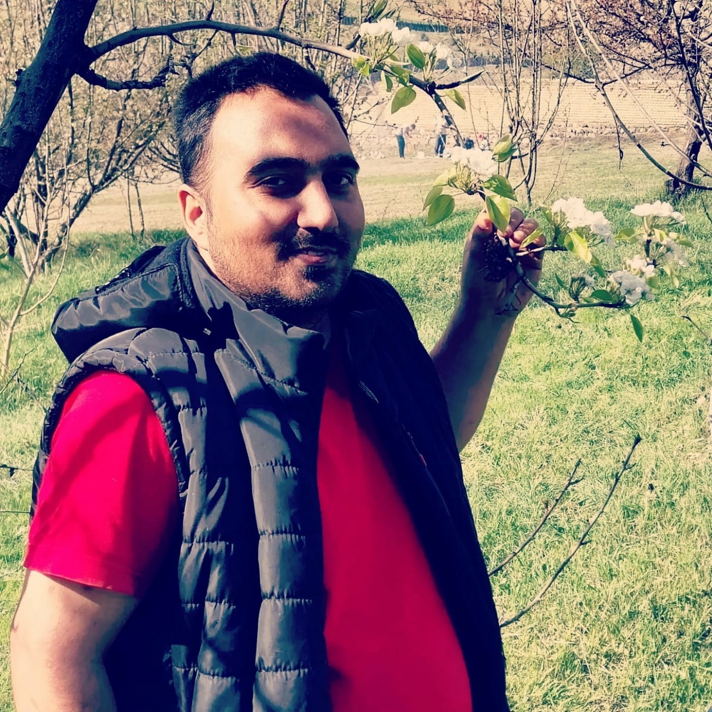 نمونه کار محمد عباسی 31