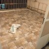 باید کار رادید نه عکس ان چون این عکس ها ملاک نمیباشند مهم کارو رضای اس