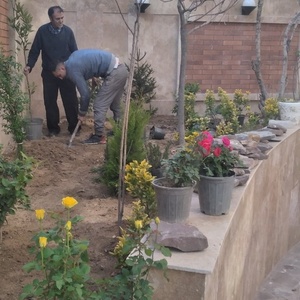 تصویر گالری