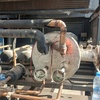 کبری طالبی مزرعه شاهی