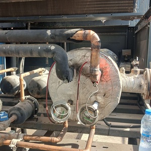کبری طالبی مزرعه شاهی
