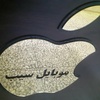 تصویر پروفایل موبایل سیب