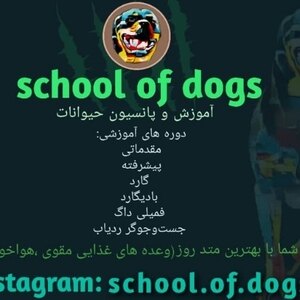 اموزشگاه پانسیون school.of.dogs