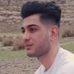 مجتبی شیردل
