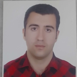 بهروز رضاقلی زاده دولت آبادی