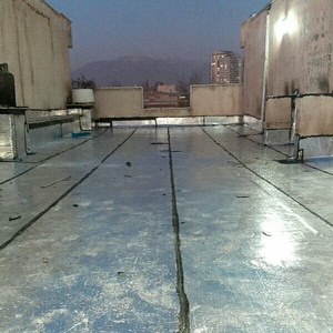 علی اصغری شبلو
