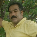 عربعلی لشنی