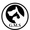 تصویر پروفایل GMS