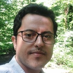 محمد محمودی
