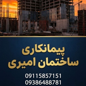 سعید امیری بادخور