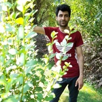 علیرضا محمودی