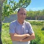 مصطفی امینی