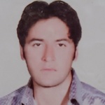 طاهر سعیدی