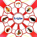عباس درودگر