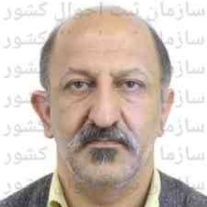 محمدرضا تقی پور دنگلانی