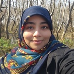 مائده جهانی