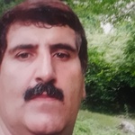 ارش شکوهی