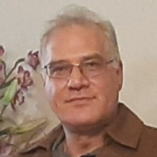 محمد دلجوش