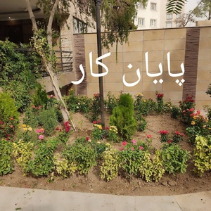 معصوم نودهانی