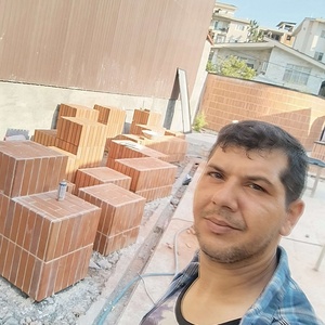 میثم دهقان چناری