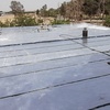 تصویر پروفایل محمد رزمی