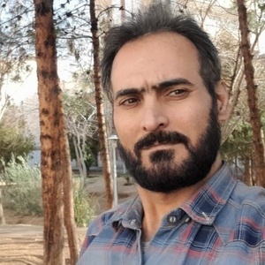 محمد حسین قائدی بارده