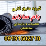 جمشید عباسی
