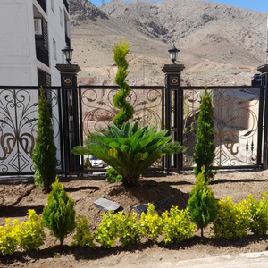 طیبه نودهانی کیان