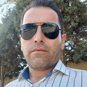 میلاد گودرزی